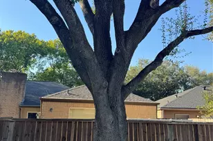 9106 Sabastian Dr, Houston, TX 77083 - Photo 11