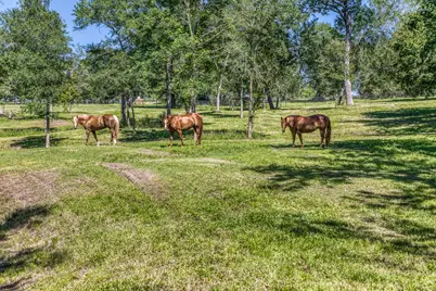 16597 Fm 912, Washington, TX 77880 - Photo 37