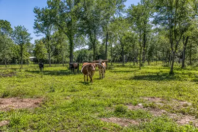 16597 Fm 912, Washington, TX 77880 - Photo 31