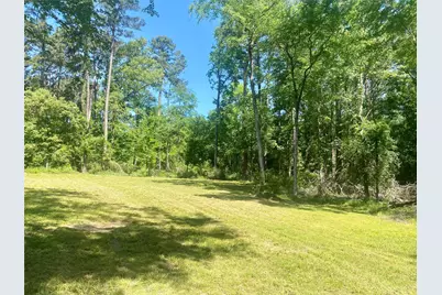 Tr 29 Oak Pine Drive, Livingston, TX 77351 - Photo 1