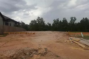 2006 Lobo Ct, Montgomery, TX 77316 - Photo 15