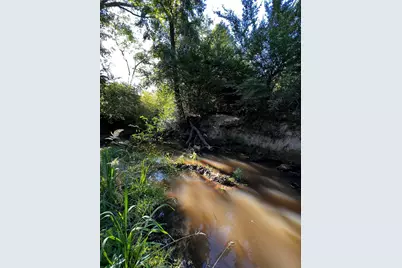 5604 County Road 364 10 Acres, Buffalo, TX 75831 - Photo 9