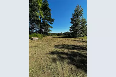 5604 County Road 364 10 Acres, Buffalo, TX 75831 - Photo 7