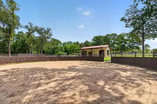 24005 Old Dobbin Plantersville Rd, Montgomery, TX 77316 - Photo 43
