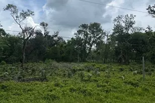 0 M, West Columbia, TX 77486 - Photo 1