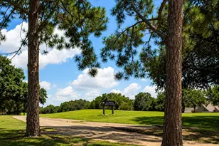 3026 Robinson Rd, Missouri City, TX 77459 - Photo 17