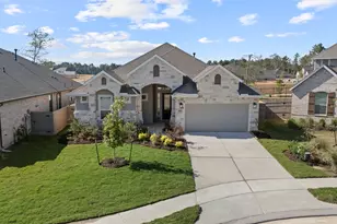 15508 Leopard Lily Ln, Conroe, TX 77302 - Photo 23