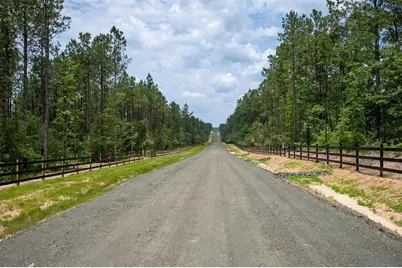 Tbd 8 Timberland Branch Drive, Woodville, TX 75979 - Photo 5