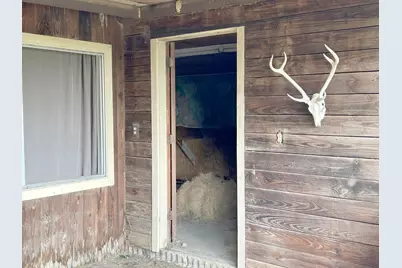 338 Lcr 866, Jewett, TX 75846 - Photo 47