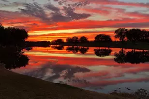 18 Crest Gate, Houston, TX 77082 - Photo 45