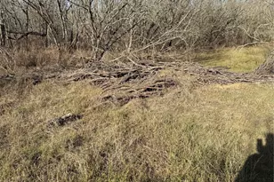 2398 Zion Hill Rd, Seguin, TX 78155 - Photo 19