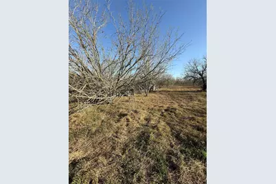 2398 Zion Hill Road, Seguin, TX 78155 - Photo 21