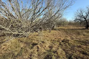 2398 Zion Hill Rd, Seguin, TX 78155 - Photo 21