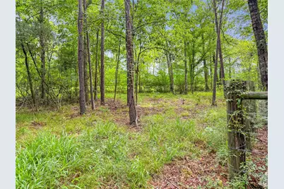Tbd County Road 3610, Woodville, TX 75979 - Photo 21
