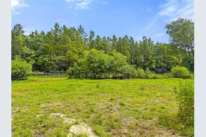 Tbd County Road 3610, Woodville, TX 75979 - Photo 11