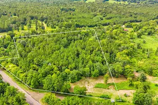 Tbd County Road 3610, Woodville, TX 75979 - Photo 1