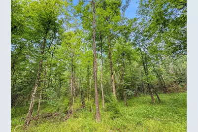 Tbd County Road 3610, Woodville, TX 75979 - Photo 19