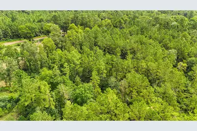 Tbd County Road 3610, Woodville, TX 75979 - Photo 41