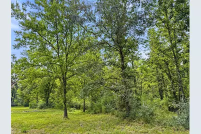 Tbd County Road 3610, Woodville, TX 75979 - Photo 13