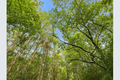 Tbd County Road 3610, Woodville, TX 75979 - Photo 23