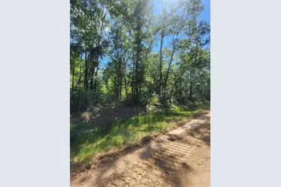 01 Cindy Lane, Shepherd, TX 77371 - Photo 3