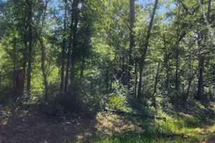 01 Cindy Ln, Shepherd, TX 77371 - Photo 1