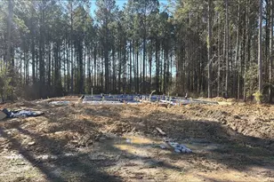 1355 Cr 66113, Dayton, TX 77535 - Photo 7