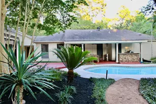9 Willowherb Ct, The Woodlands, TX 77380 - Photo 29