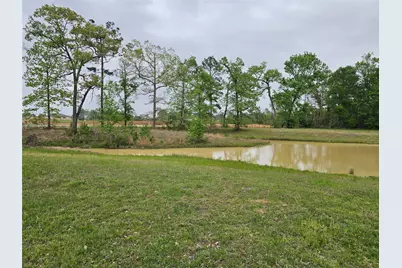 15784 Tree Monkey Rd, Conroe, TX 77303 - Photo 9