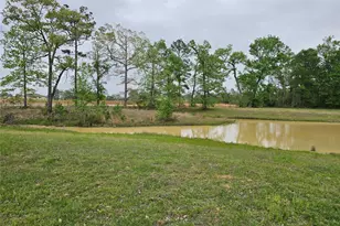 15784 Tree Monkey Rd, Conroe, TX 77303 - Photo 9