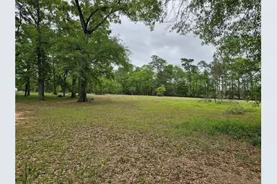 15784 Tree Monkey Rd, Conroe, TX 77303 - Photo 3