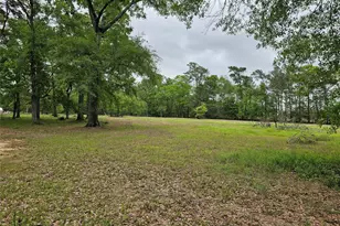 15784 Tree Monkey Rd, Conroe, TX 77303 - Photo 3