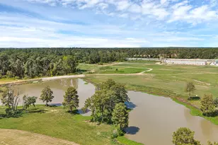 782 Falling Cave Dr, Willis, TX 77378 - Photo 33