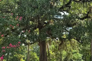 2266 Young Rd, Livingston, TX 77351 - Photo 17