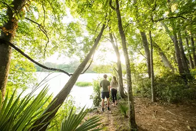 5-6-230 Dipping Vat Road, Huntsville, TX 77340 - Photo 21