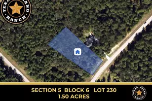 5-6-230 Dipping Vat Rd, Huntsville, TX 77340 - Photo 1