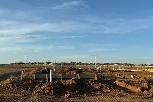 29014 Fig Vine Dr, Waller, TX 77484 - Photo 17