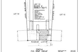 29014 Fig Vine Dr, Waller, TX 77484 - Photo 19