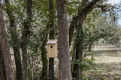 110 Drake Lane - Lot 25, Round Top, TX 78954 - Photo 9