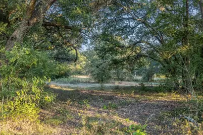 110 Drake Lane - Lot 25, Round Top, TX 78954 - Photo 5