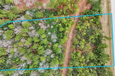 15466 Red Hawk Road, Willis, TX 77378 - Photo 13