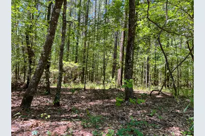 12 Howell Road, Corrigan, TX 75939 - Photo 17