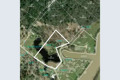 Lot 4 Lake Livingston Lane, Trinity, TX 75862 - Photo 1