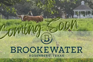 522 Blue River Trl, Rosenberg, TX 77471 - Photo 37