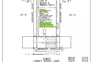 21807 Honey Scent Ln, Cypress, TX 77433 - Photo 5