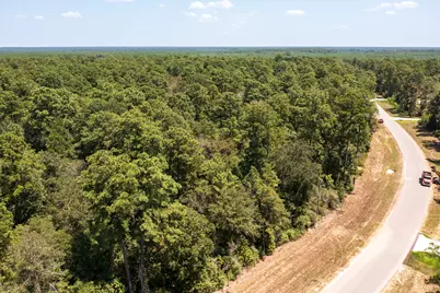 15628 Wood Grove Way, Willis, TX 77378 - Photo 3