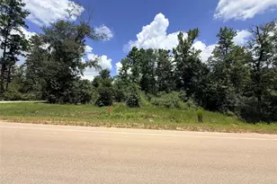 12075 High Br Wy, Willis, TX 77378 - Photo 1