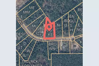 12075 High Branch Way, Willis, TX 77378 - Photo 5