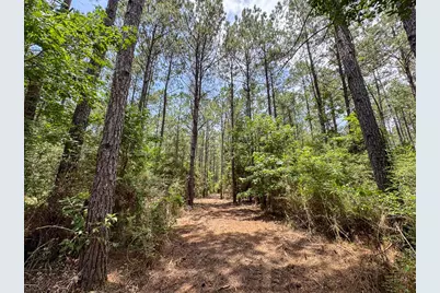 4 Benny Griffin Road, Livingston, TX 77351 - Photo 19