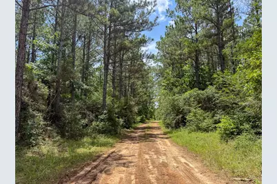 4 Benny Griffin Road, Livingston, TX 77351 - Photo 37